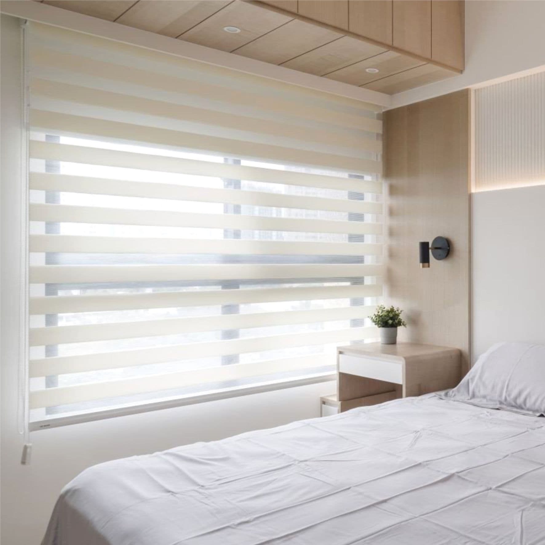 Màn cầu vồng - StarBlinds